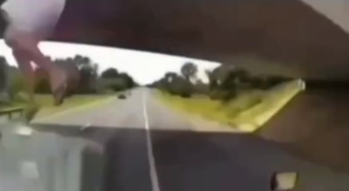 Man Jumps Off Bridge In Front Of Semi Truck