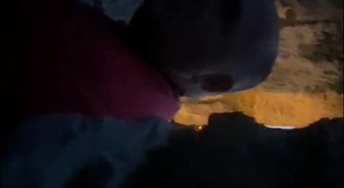 Serbian Pedo