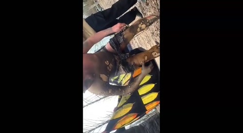 Dude self immolates in playground