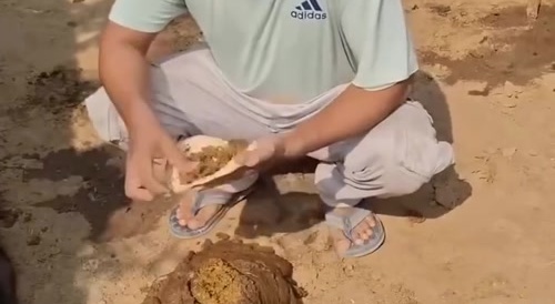 Evolution of species in india