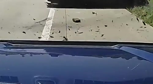 Car crashes on highway