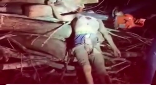 Cartel Use A Chainsaw