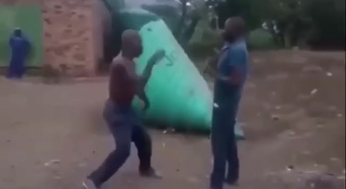 praying mantis style martial art