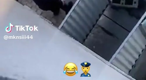 Pig gets an egg thrown on his head
