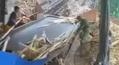 dude fell into shredder