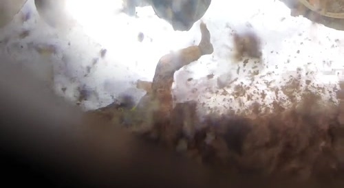 Outback Australia, near Birdsville, QLD Motorcycle Crash