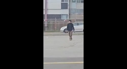 Crazy Woman ATTACKS Toronto Police