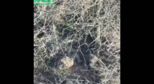 Shooting Ukrainian fascists is so much fun!