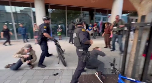 ANTIFA Fights Maga at Berkeley Event