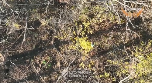 various drone drops on russians