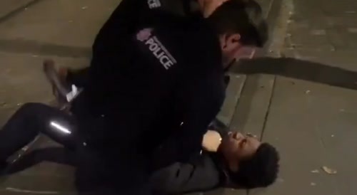 Black guy attacks 2 cops