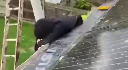 Your Idiot Of The Day Is...