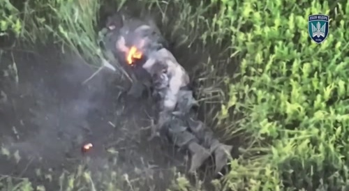 +2 kills fpr magyaras birds