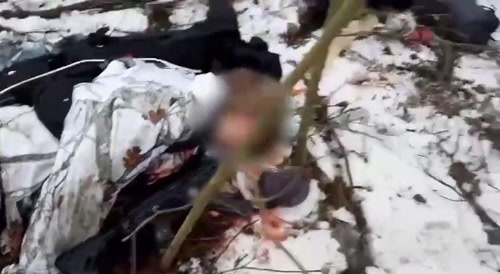 Dead ukro scattered all over the field