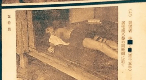 The Tsuyama Thirty Murders