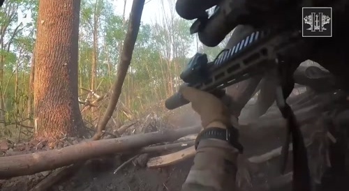 Ukrainians suppress a treeline