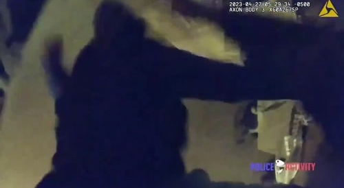 Thug beats Female Officer Unconscious