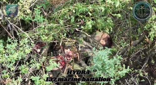 HD drops by HYDRA unit