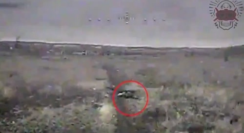 A russian dying field