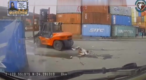forklift Vs man