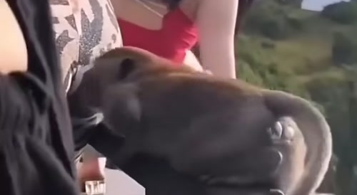 That's what happens when you stick your nose where it doesn't belong.