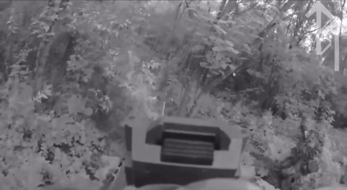 Nothern forests - UA recon team