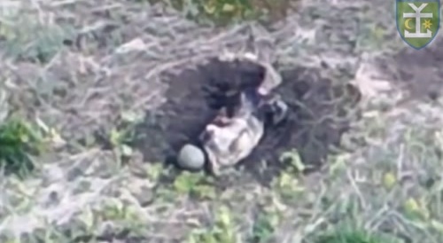 another russian removed