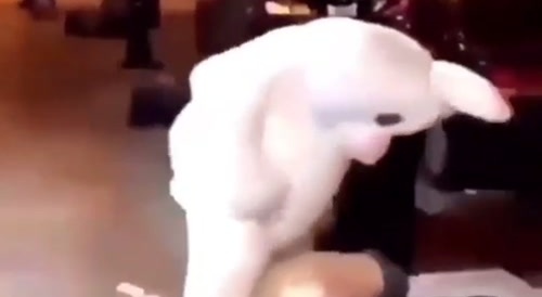 Easter bunny goes crazy