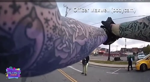 Idiot With a Gun Shot by Cops