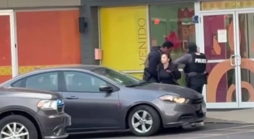 ICE handles illegal alien