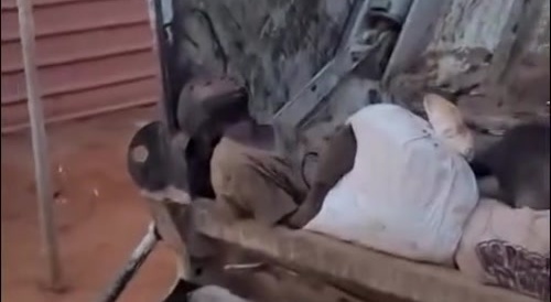 Two died after trapped in a garbage truck