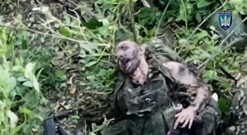 magyars birds tore up another russki