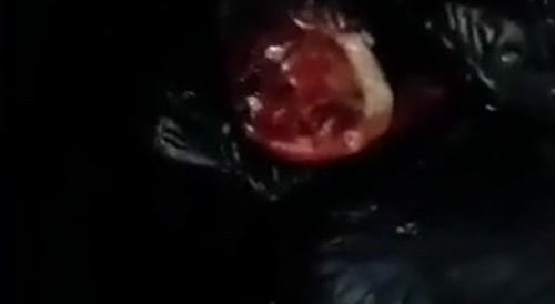 Don't Think This Brazilian Man Made It