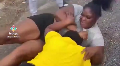 Buffalo Ratchets Fight for Street Dominance