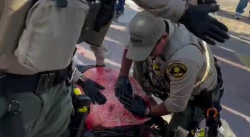 Homeless Man Shot In Imperial Beach, Cali.