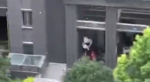 82-Year-Old-Man With Cancer Takes Life Into His Own Hands