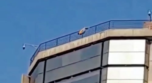 Showing Off Goes Wrong, Or Right?