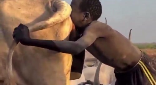 White people will never have this much culture