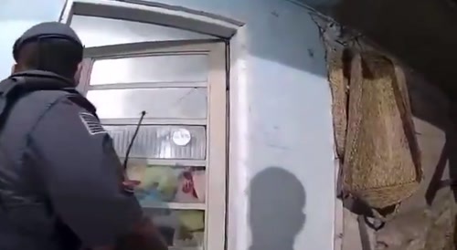 Woman blows up house in psychotic episode.