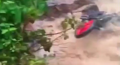 Swollen River Swallows Biker