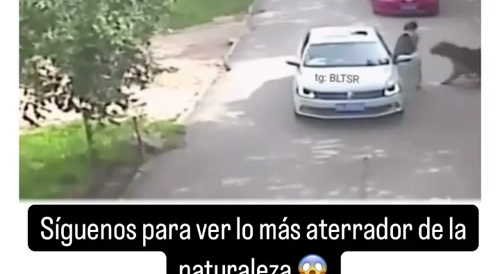 Tragedy: DO NOT get out of the car