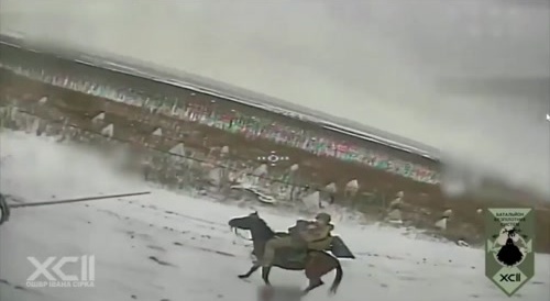 The second best cavalry in the world.