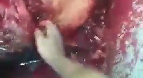 Have Yourself A Bloody Little Christmas (Volume warning)