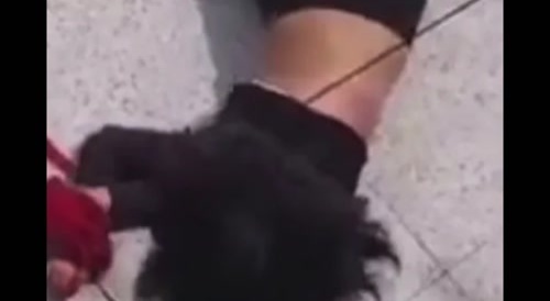 Tragic Fall in Indonesia