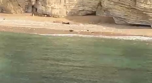 That Step Was A Dooooozey