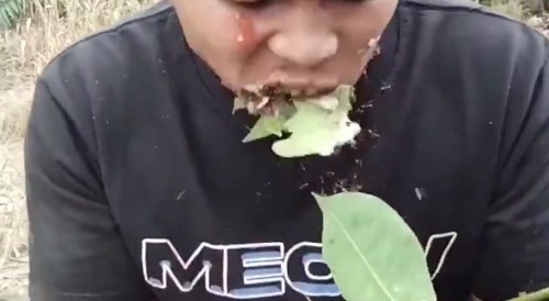 crazy guy eat ant
