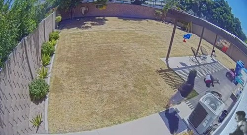 Burglar caught with headshot