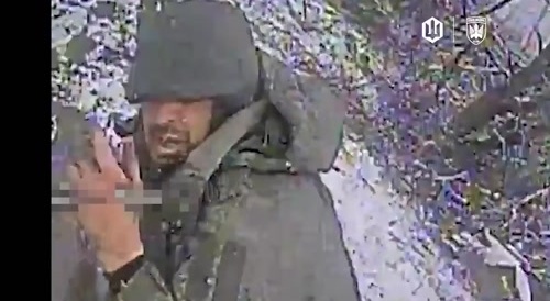 Latest compilation of Birds of Magyar