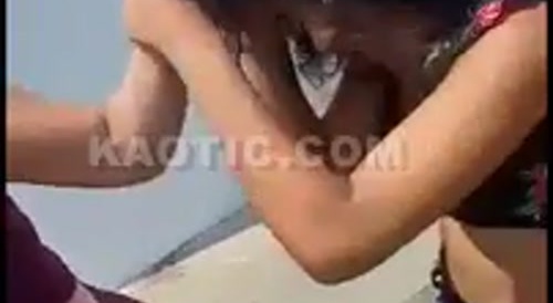 Two bitches caught fighting