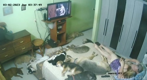 Cute couple with cute habits